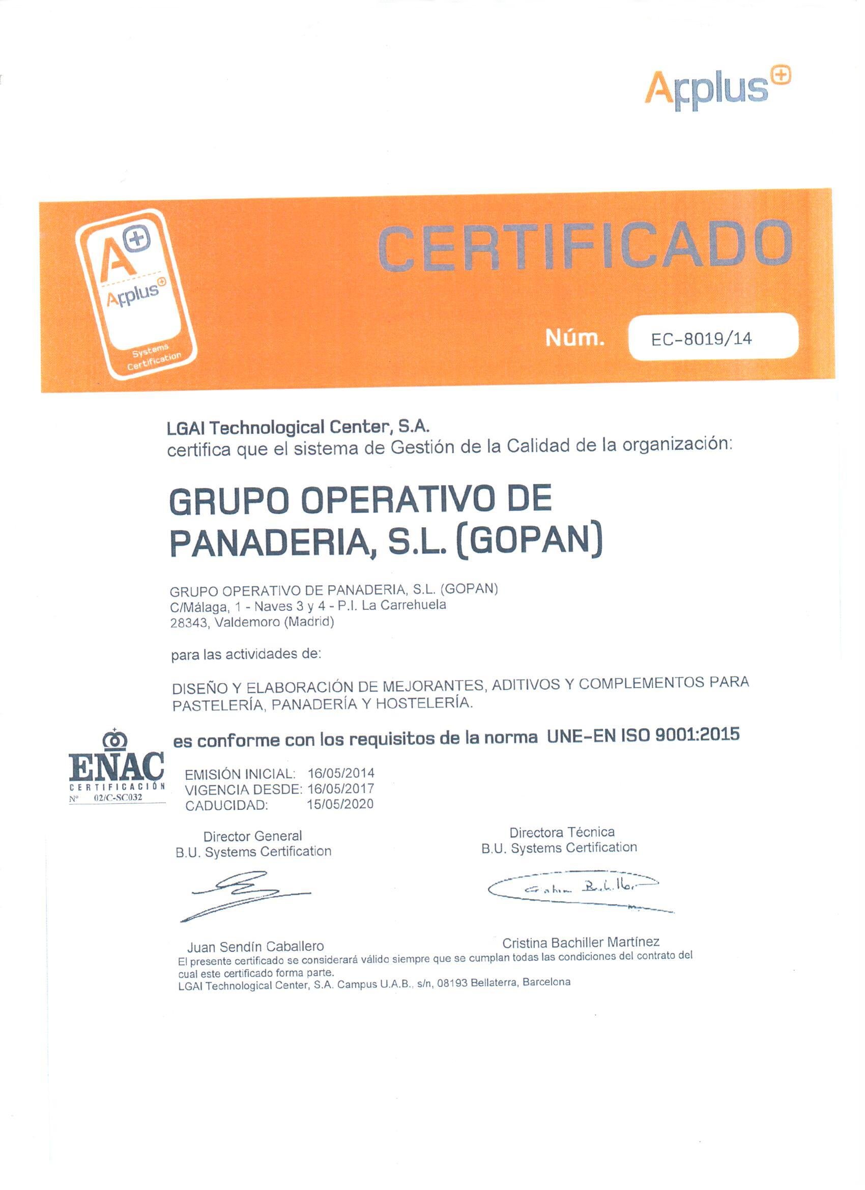 ISO 2020 ESPAÑOL www.gopan.es